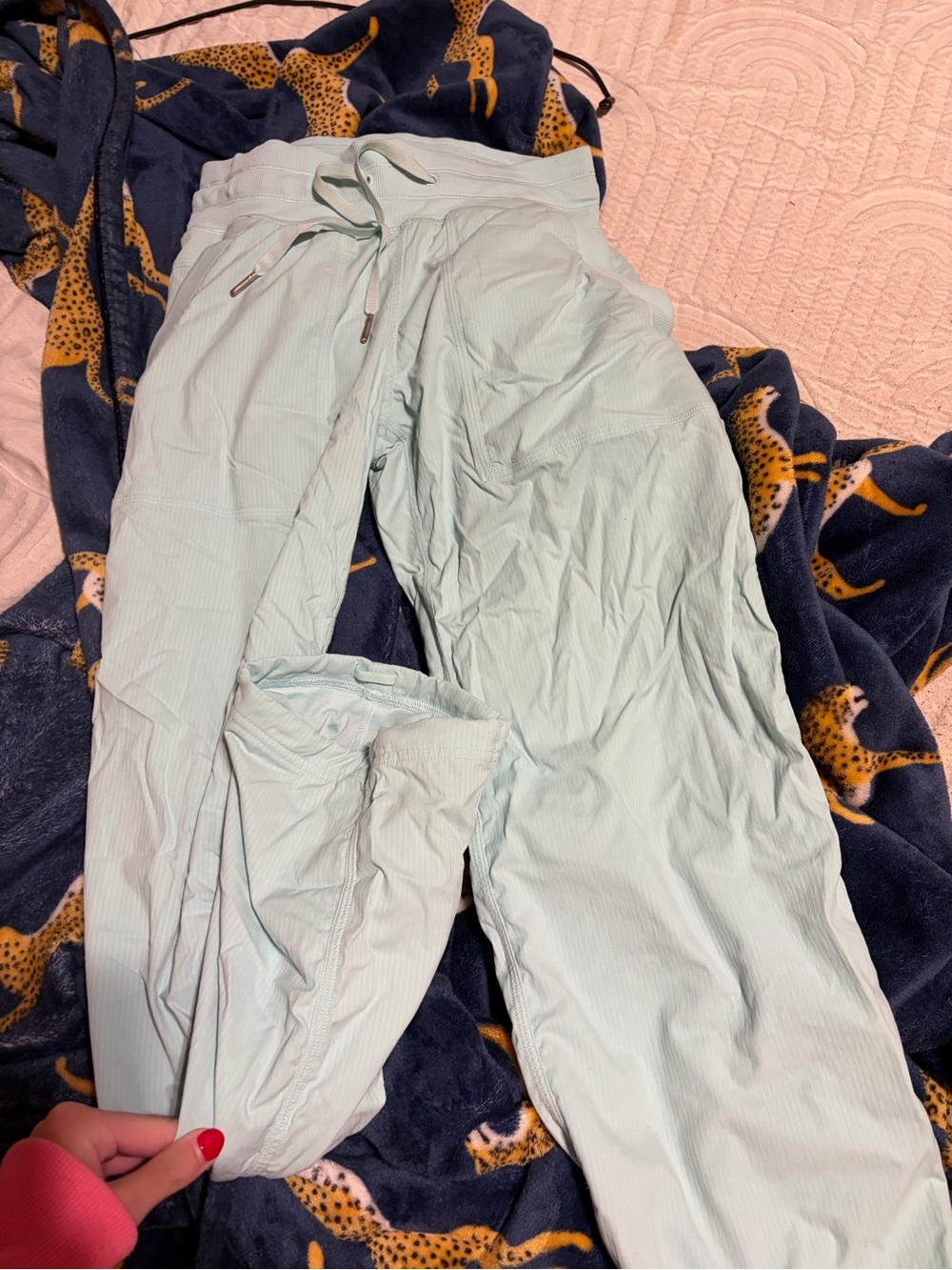 Light Mint  Drawstring Joggers